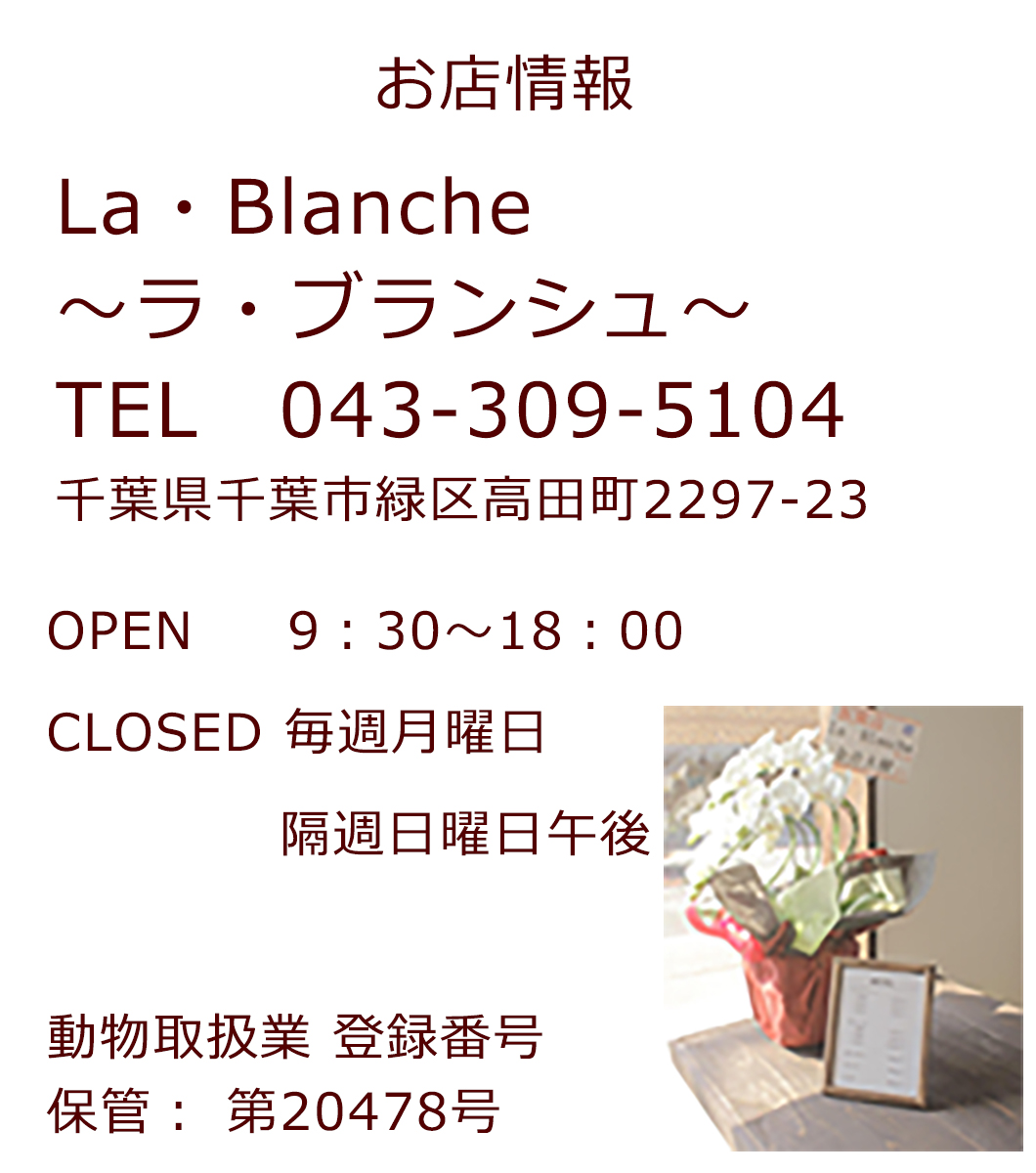 千葉県緑区にあるドッグサロン、ラブランシュのお店情報です